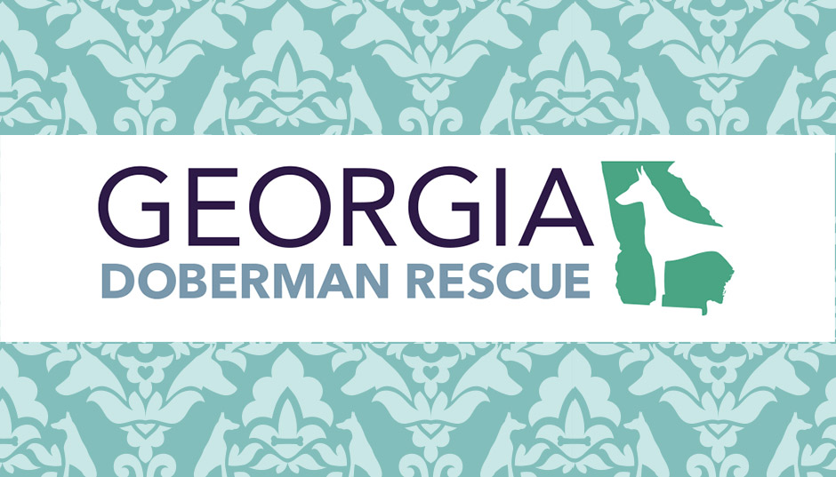 Georgia Doberman Rescue is up and running