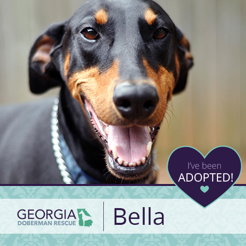 Bella has been adopted!!