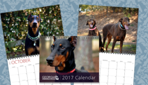 2017 GDR calendars