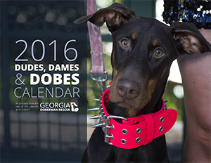2016 Calendar
