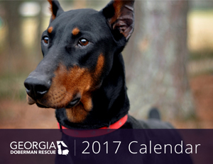 2017 GDR Calendar Small Cover