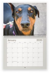 2020 Calendar - January