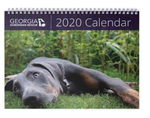 2020 Calendar cover