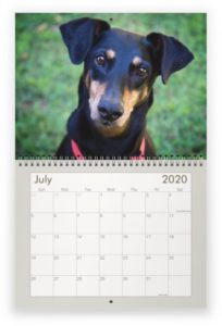 2020 Calendar - July