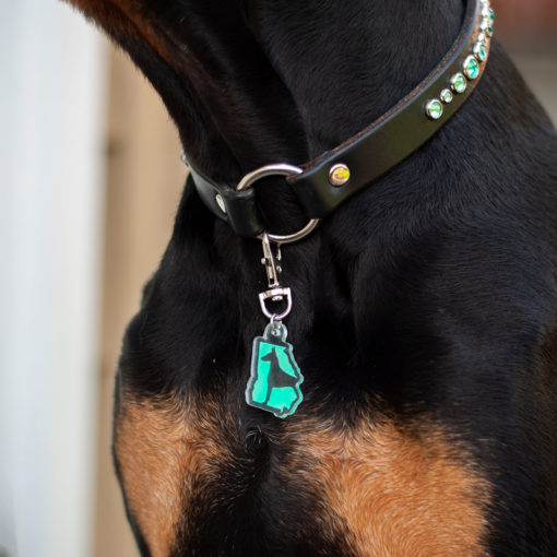 GDR dog tag charm on dog close-up