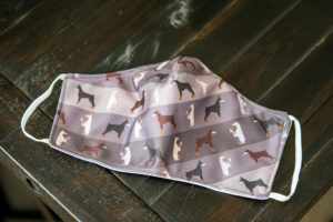 Dobermanrdemic fabric face mask