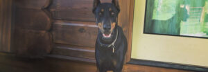 Cesar standing on the front porch, looking at the camera