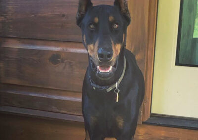 Cesar