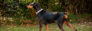 Mija full body from the side