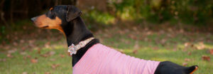 Mija wearing a sweater